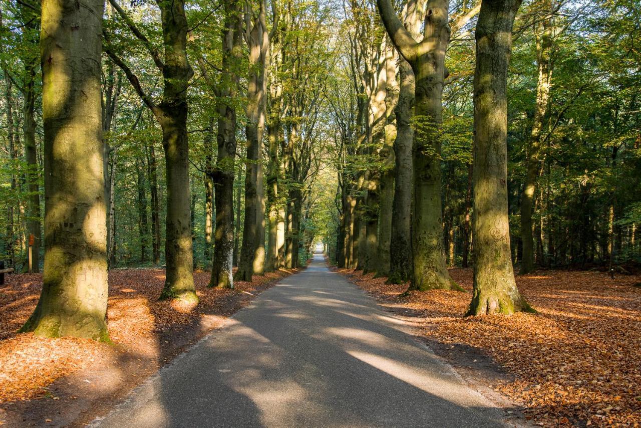 Luxe Bosvilla De Paradijsvogel Rijs Exterior foto